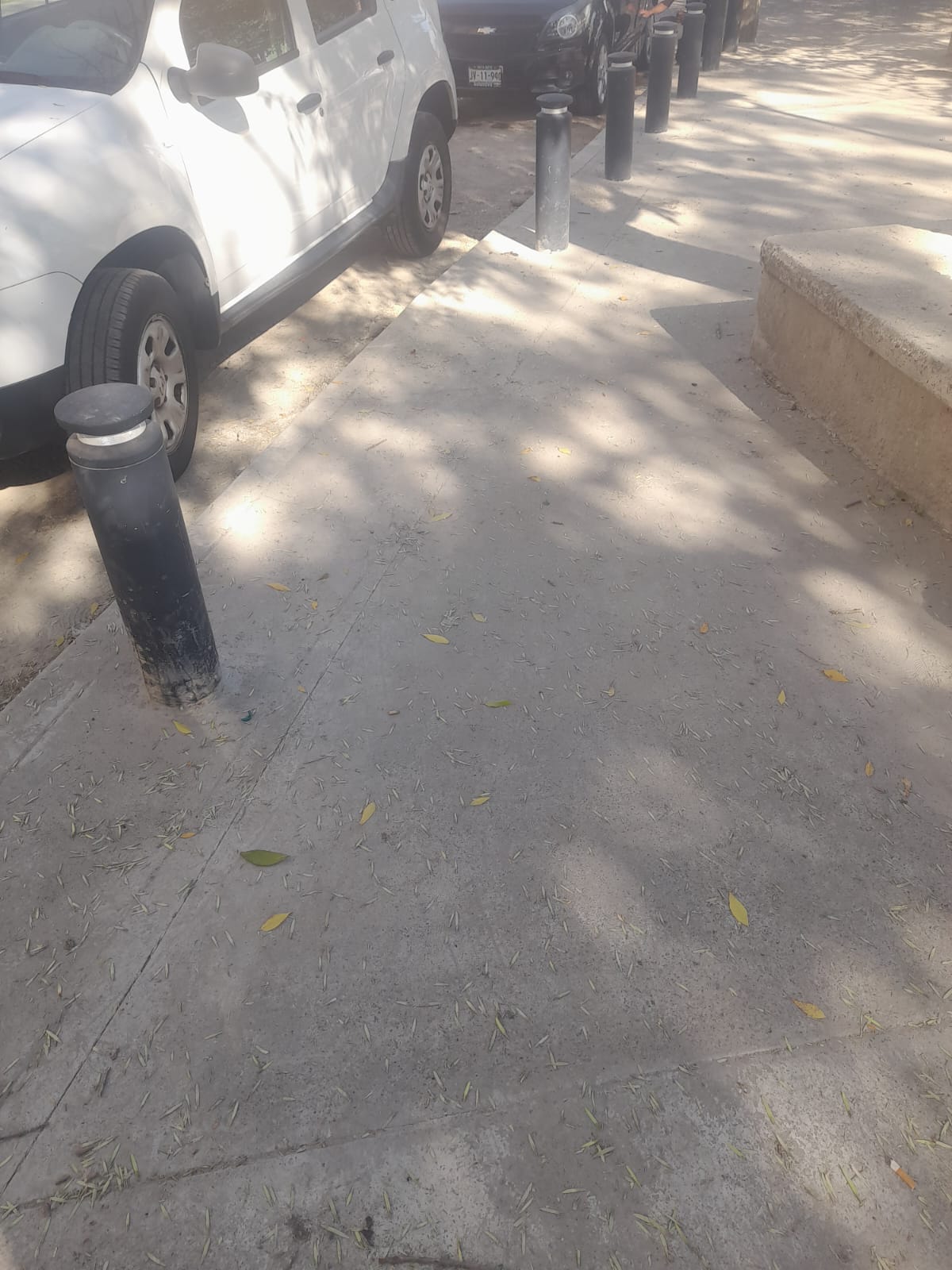 Imagen del proyecto