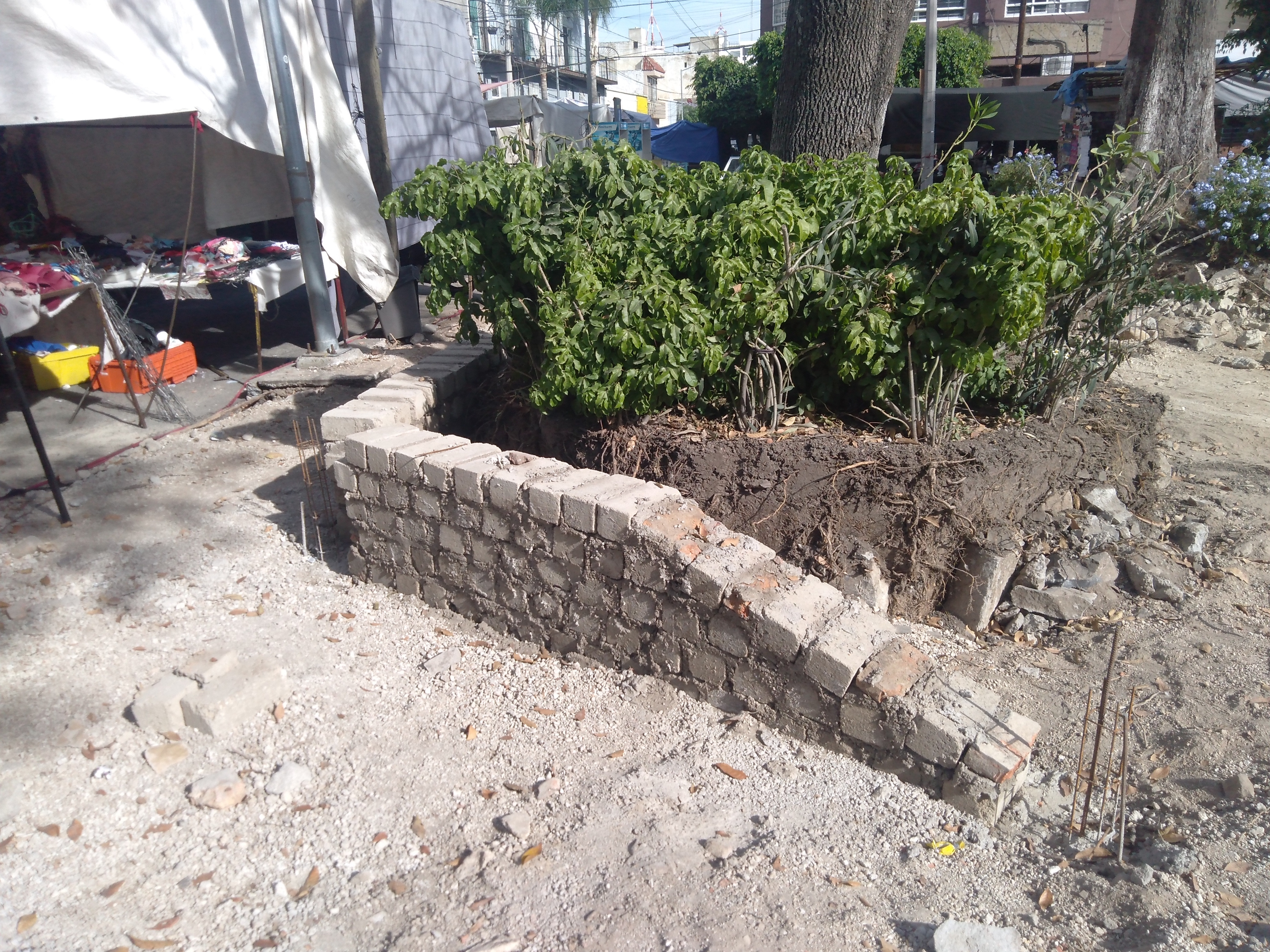 Imagen del proyecto